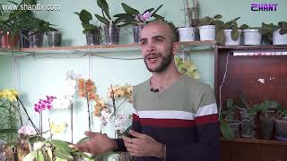 Առավոտը Շանթում-Հարությունի ստեղծած խոլորձների աշխարհը