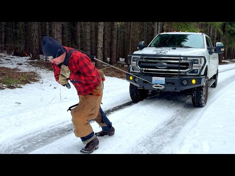 I Came Across a Windfall