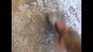 Coating a garage floor with Sherwin Williams Armorseal Tred Plex