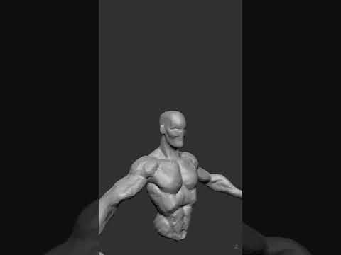 Male Body Speed Sculpt Zbrush