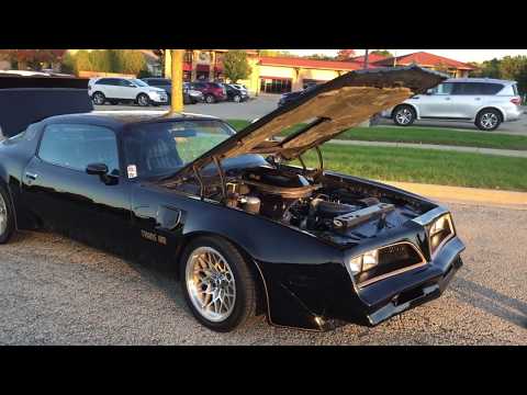 1977 Pontiac Firebird Trans Am (CC-1331630) for sale in MADISON, Wisconsin