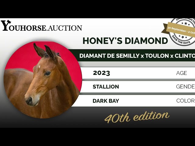 Honey's Diamond