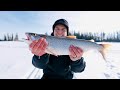 Video Thumbnail for Catching dinner through the ice