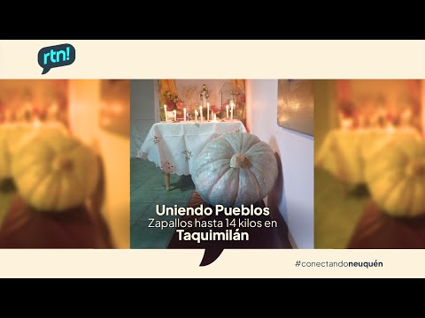 #UniendoPueblos Familia de Taquimilán cultiva zapallos criollos de hasta 14 kilos