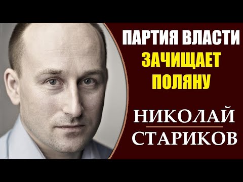 Николай Стариков: Мэр домохозяйка. Голланские высоты. Мюллер и Трамп. 31.03.2019