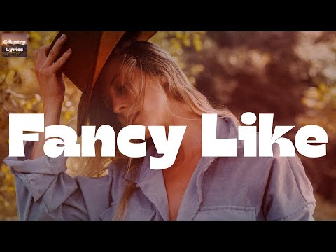 Walker Hayes - Fancy Like (Lyrics)