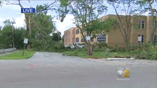 West Suburban Itasca Impacted By Overnight Storms, Broken Trees Scatter The Neighborhood