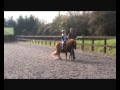 Winnie And Dora On Ponies Oct 2011