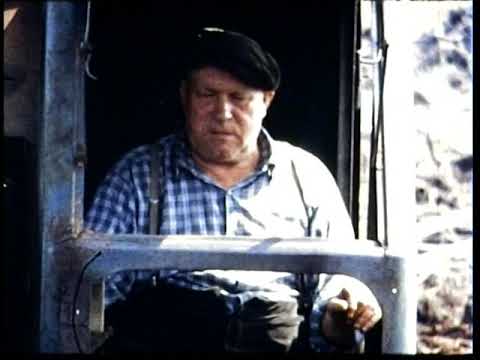 Moorgewinnung in den 60-ern Bad Buchau