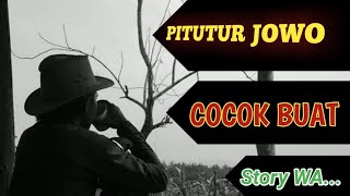 Download lagu COCOK BUAT STORY WA...!!! Pitutur luhur jawa || Asu rebutan balung mp3
