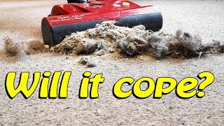 SEBO Felix Extreme Dirt Vacuuming Test