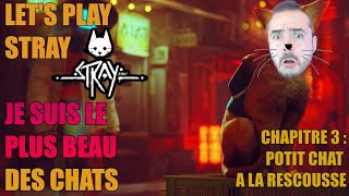 LET'S PLAY COMPLET : STRAY PARTIE 3 - POTIT CHAT A LA RESCOUSSE