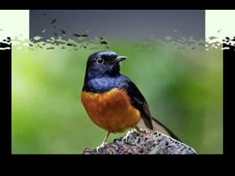 SPARTA 9.7 FAIDATUL HAYYIN