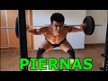 Legs Workout