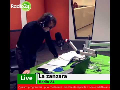 Achille Lauro il nuovo David Bowie - Sanremo, lazanzara