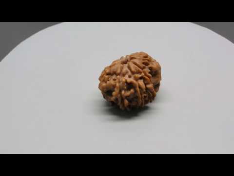 RD55932 GJSPC LABORATORY