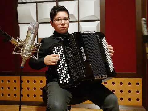 FISITALIA ACCORDIONS - Cristian Chiaraluce - Videogame