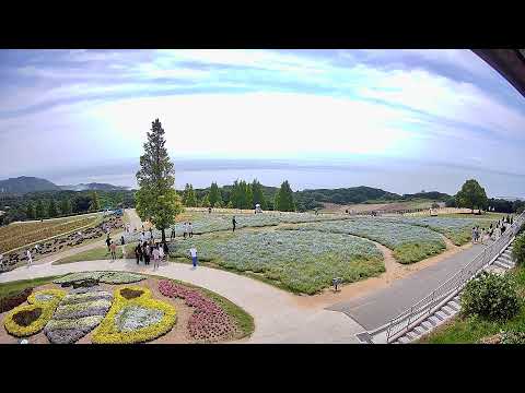 淡路島 - 兵庫縣立公園 淡路花