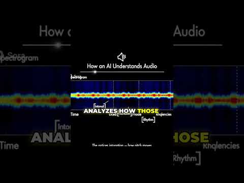 Thumbnail for -JSMHt1otKo