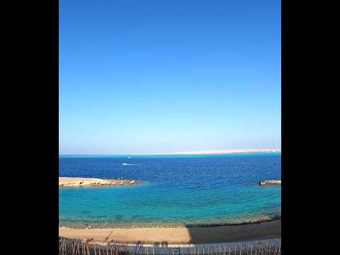 Thumbnail image for the video