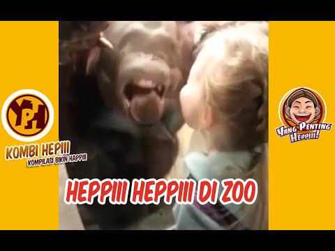 heppiii-heppiii-di-zoo