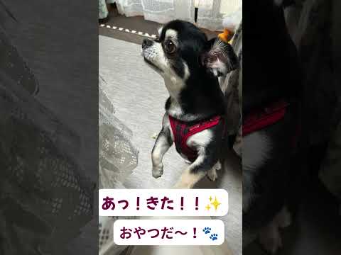 初めてのショート動画づくりをお手伝いします イメージ1