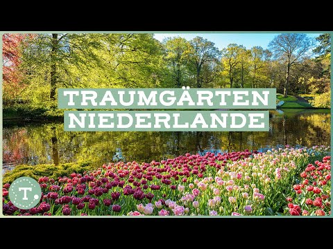Die schönsten Gärten der Niederlande: Ein Paradies für Hobbygärtner | Reisedoku