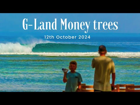 GLAND | 12TH OCTOBER 2024 | MONEY TREES | LONG SURFING VIDEO