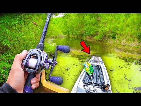 Exploring SMALL Creeks for BIG Bass (Kayak Fishing)