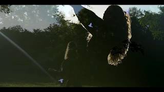 "Be the Lark" by Kate Magdalena