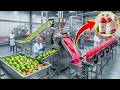 Production Process Of Pink Guava Juice In A Modern Mega Factory Factory Automation