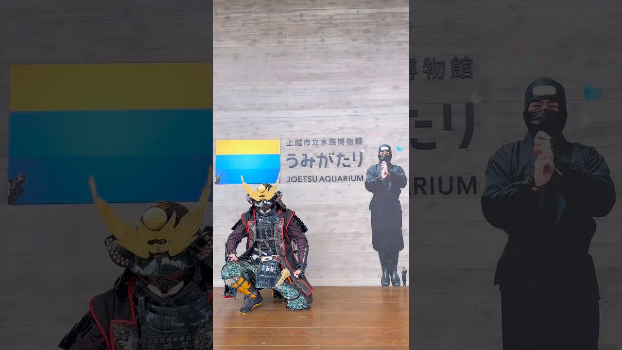 上越市立水族館博物館うみがたりにて特別展「謙信忍者水族館」開催中！