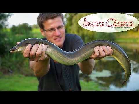 Fang die MONSTER-SCHLANGE: Auf DICKE AALE mit der Pose (von BIG FISH MEDIA)