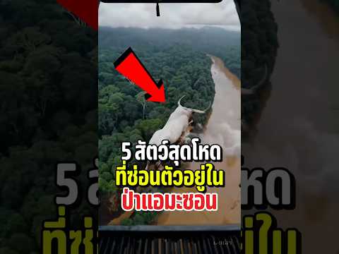 5 สัตว์สุดโหดที่ซ่อนตัวอยู่ในป่าเเอมะซอน!? 💥🐍🌲  #shorts  #amazon #เรื่องแปลก