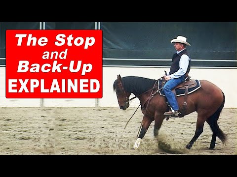 How to Train Your Horse to Stop and Back Up - Horse Training Explained!