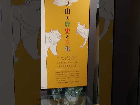 【おら博物館さ行くだ】鳥取県立氷ノ山自然ふれあい館 響の森「学習展示ルーム」　 #鳥取県 #氷ノ山 #響の森