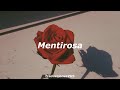 Mentirosa - Elefante // Letra