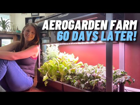 60 DAYS LATER: An Epic Aerogarden Review You Won't Believe!