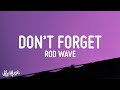 Rod Wave - Don't Forget (Lyrics)