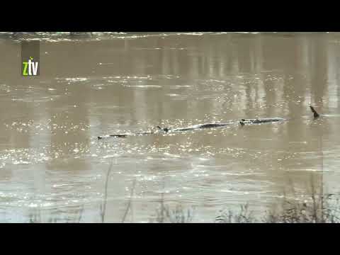 Vanredna odbrana od poplava kod Trnavca: Nema opasnosti od poplava