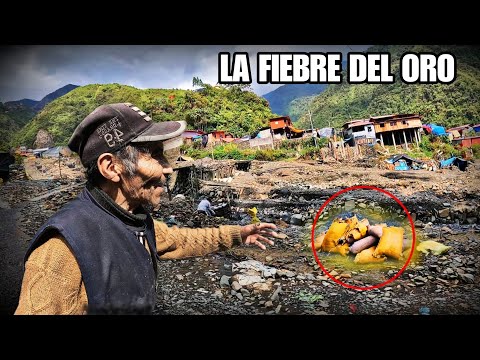 southern jungle puno