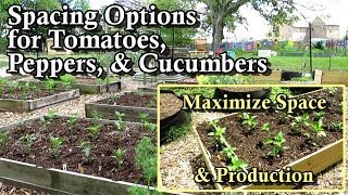 Tomato, Pepper, & Cucumber Plant Spacing and Planting Options: Maximizing Space and Harvesting!