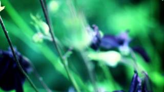 BT - Our Dark Garden (Official Music Video)