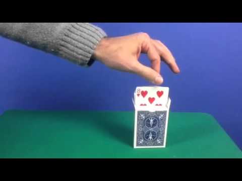 Kartensteiger"Professionell"