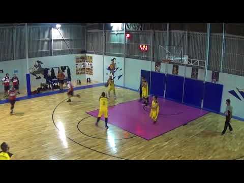 PERONIA WIZARDS - ΤΑΥΡΟΣ  60-65  ,  PROFESSIONAL LEAGUE