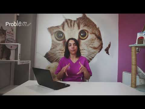 Mi PERRO TOSE y se ASFIXIA ✅(que debemos hacer).