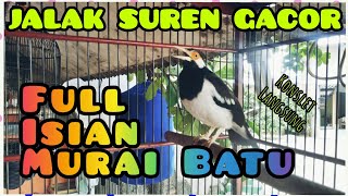 Download lagu Jalak suren gacor isian murai batu auto nyaut mp3