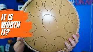 What Sold Me on This? Panda Drum Pro (Black) | Steel Tongue Handpan with Music Book, Mallets, Carryi