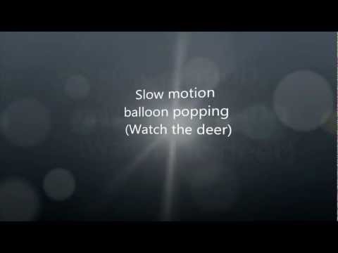 slow motion archery compilation