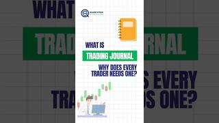 Trading Journal: The Habit That Makes Traders Profitable #backtesting #trading #tradingstrategy